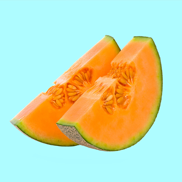 melon-test-4
